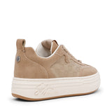 CATAPULT TAUPE SUEDE